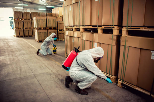 Reliable Wright Patterson Af, OH Pest Control Solutions