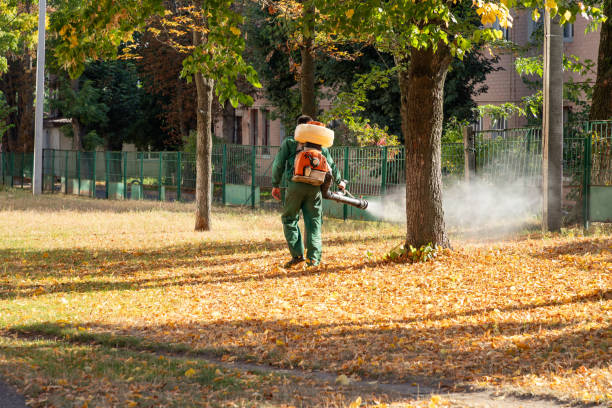 Best Wasp Removal Services  in Wright Patterson Af, OH