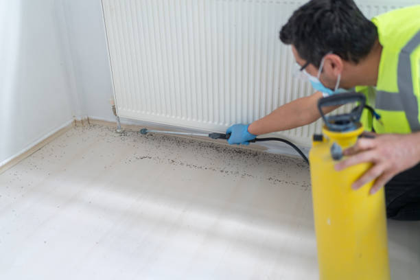 Best Best Pest Control Companies  in Wright Patterson Af, OH